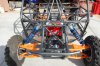 Rhino022209 006.jpg
