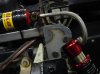 DSC00318.jpg