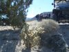 100_1723.JPG