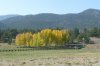 Camping-3 008.jpg