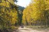 Camping-3 035.jpg
