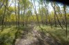 Camping-3 040.jpg
