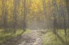 Camping-3 042.jpg