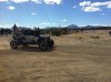 IMG_1174.jpg