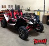 SDR Wildcat X 2.JPG
