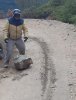 trailmaintenance01272013010_zpsfb228e2a.jpg