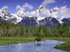 Teton National Park photo.jpg