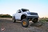 RZRaptor-15.jpg