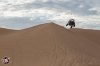 2016-camp-rzr-glamis-day-2-utvunderground.com011.jpg