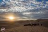 2016-camp-rzr-glamis-day-2-utvunderground.com016.jpg