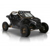 canam-x3-Scorpion-cage__32696.1588036181.png