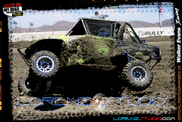 DSC08359LOORRS6.jpg