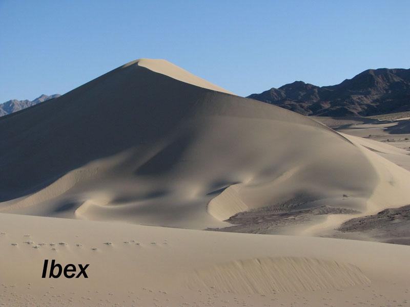 IbexDunes-RC-12.jpg