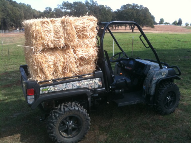 Gator_825i-Straw-1.JPG