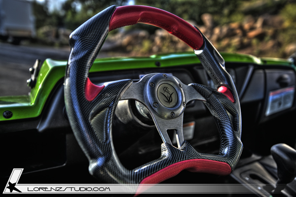 DSC01792-teryx-steering.jpg